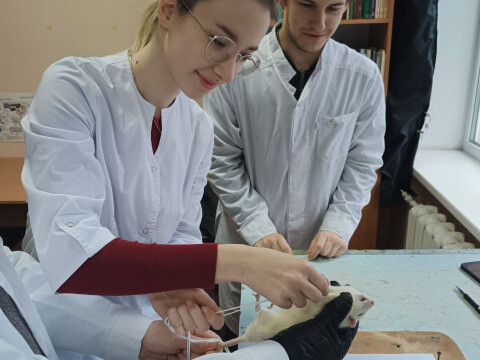 Студентський науковий гурток кафедри